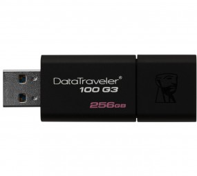 Kingston DataTraveler 100 G3 256 GB, USB-Stick