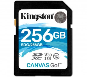 Kingston Canvas Go! 256 GB SDXC, Speicherkarte